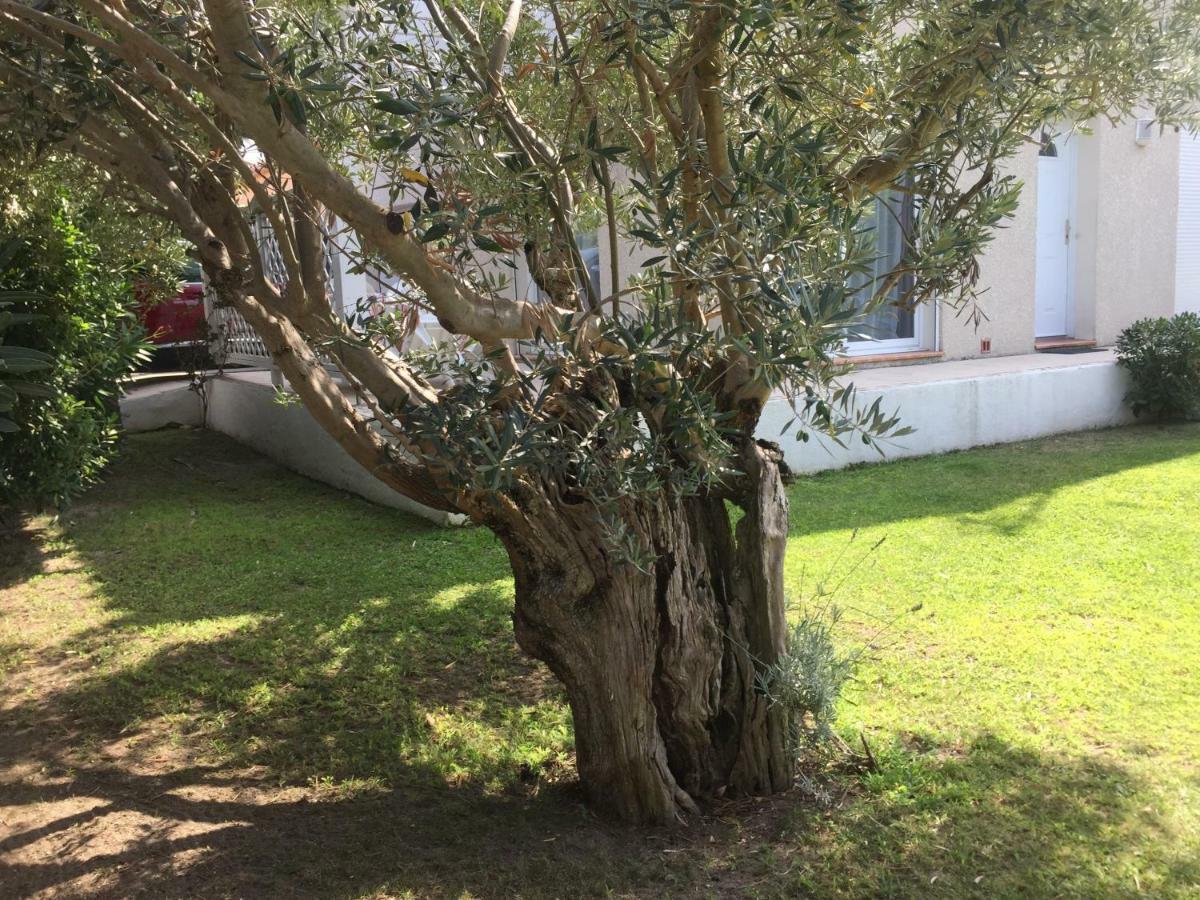 La Maison De Virginie Saint-Cyprien  Exterior foto